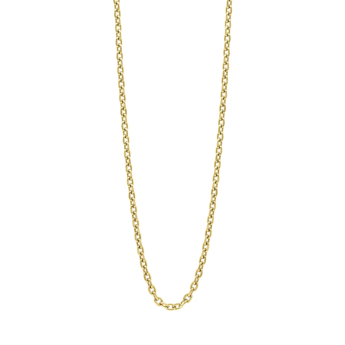 Fred Bennett Gold Plated Stainless Steel Cable Link Necklace