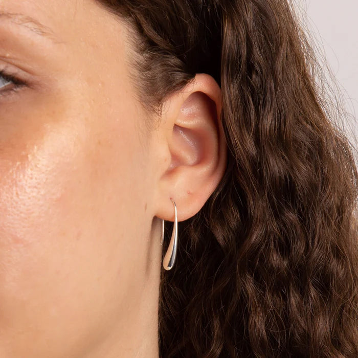 Silver Long Drop Earrings